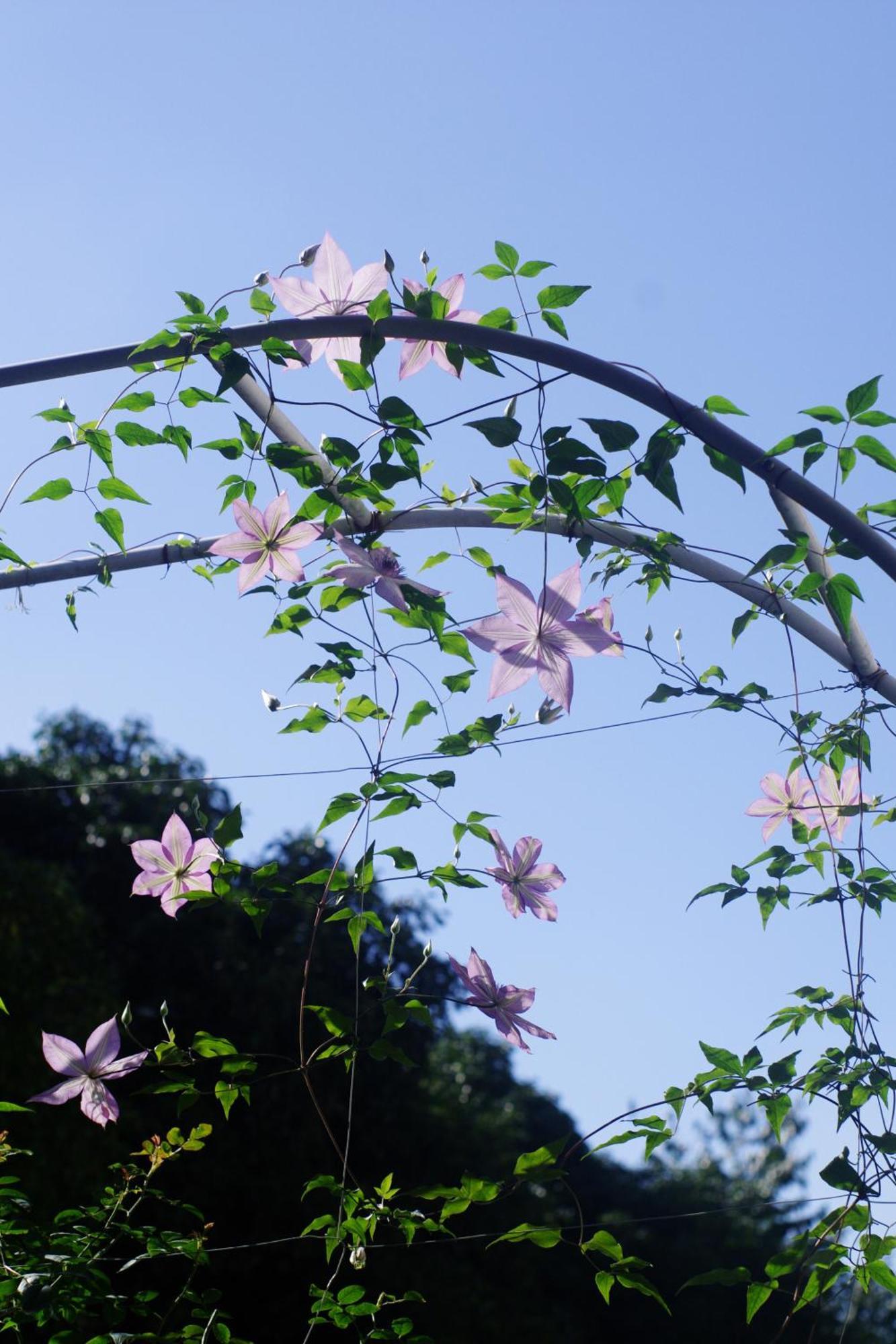Hangzhou Jiuyueji Bed&Breakfast Екстериор снимка